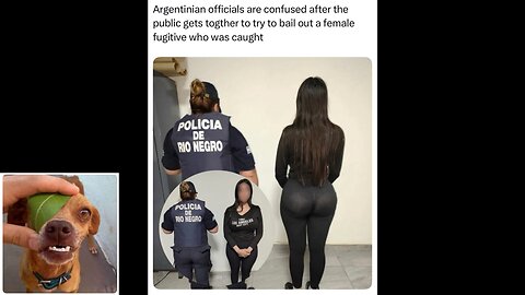 Memes That Will 99.0587% Make You Laugh. (e811)