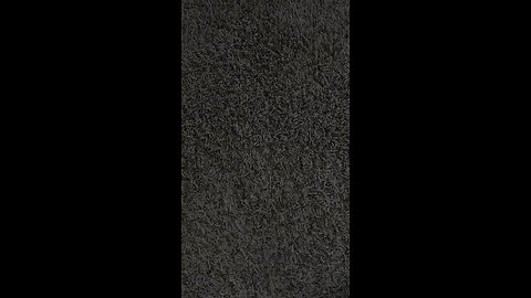 Test 2