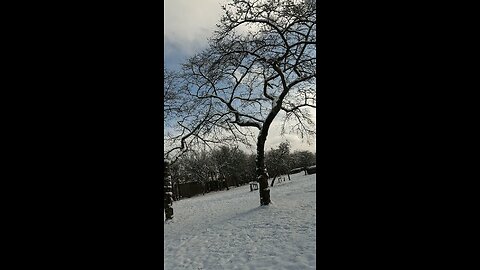 Vuurwerkverbod, omdat het uit de hand loopt…