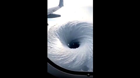 IT'S A CLOWN WORLD NEWS 10-29-2025