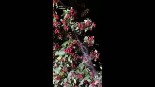 🚁💥 Ukraine Russia War | First Fiber Optic Drone Strike on Kramatorsk | RCF