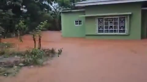 New Forest in St. Elizabeth Parish. Hurricane Melissa has not yet made landfall.