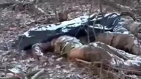 Destroyed Ukrainian soldiers during a butchery assault on positions