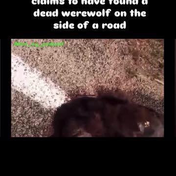 Werewolf in Portugal?