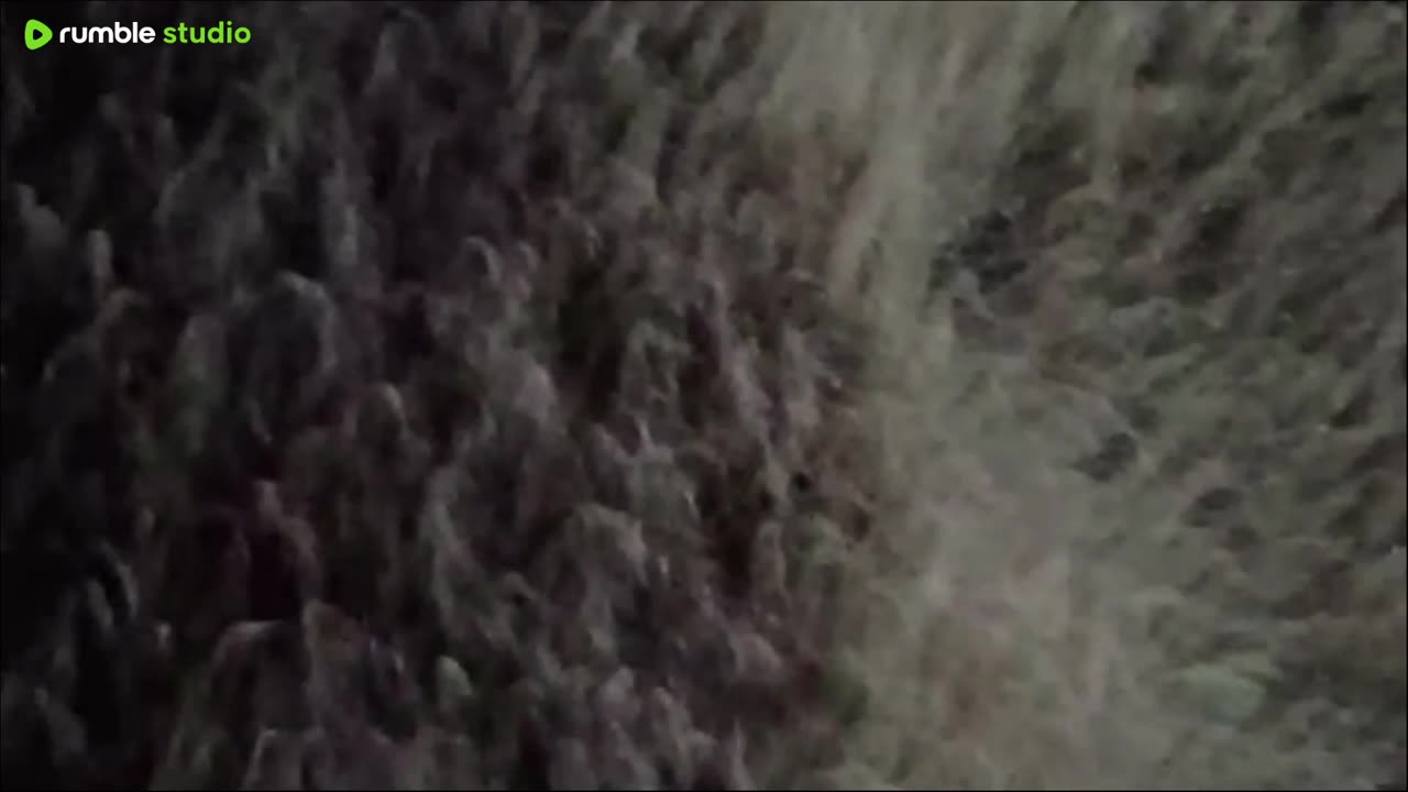 gonna get screened for Asperger's