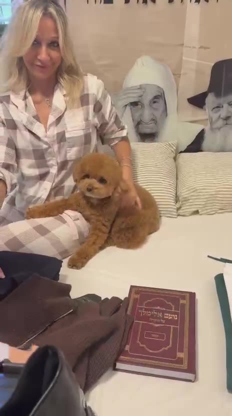 Die Familie bereitet alles für die Heimkehr von Segev Kalfon vor.