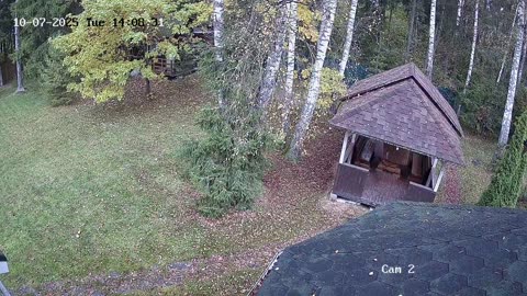 😨👽 Wait For The End... Bizarre Entity Caught On Camera | TheHauntingHour