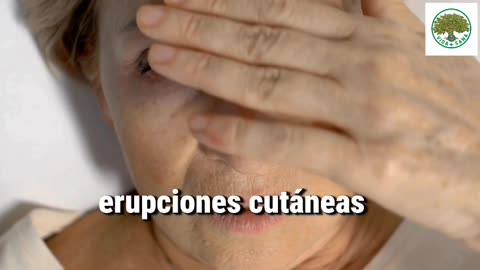VIDEO CONGRESO MADRID SABADO 18 OCTUBRE 2025