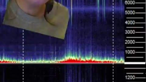 Schumann Resonance + Energy Update 2.4.26