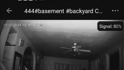 😱👻 Spirit Orb or Something Else? You Won't Believe This! | TheHauntingHour