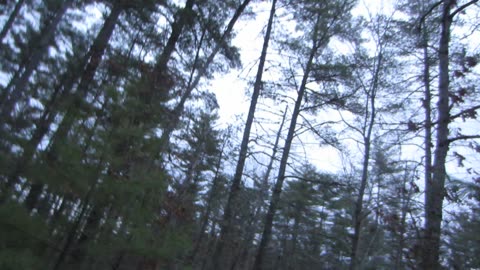 My final thoughts on 3i Atlas and the need to remove psychopaths from government.