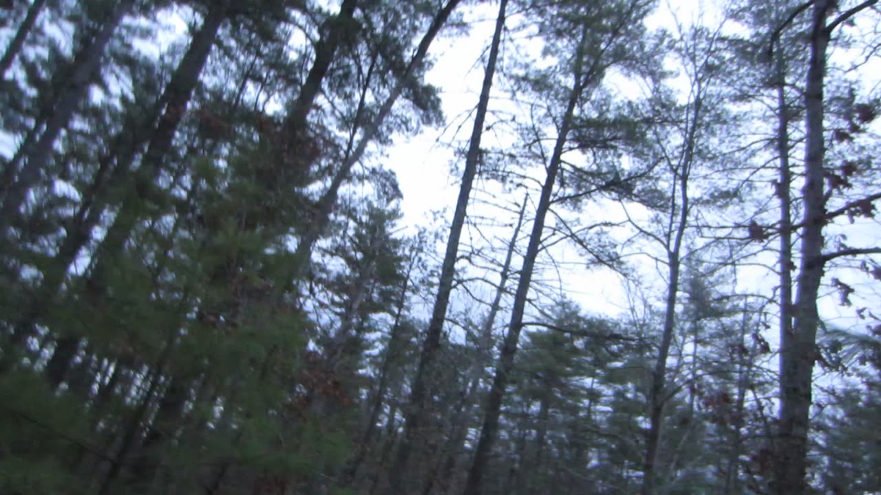 My final thoughts on 3i Atlas and the need to remove psychopaths from government.