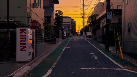 Nice tokyo evening nature