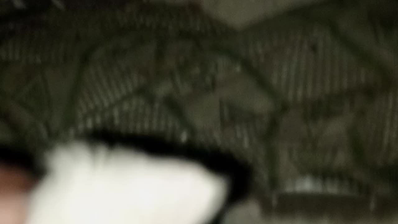 My sweet cat
