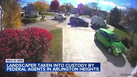 USPS worker decided to intervene in a DHS detention by federal agents and FAFO