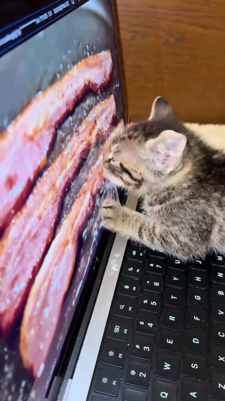 Whos going to Tell him