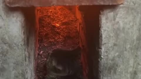 Perfect spot to keep warm in the winter