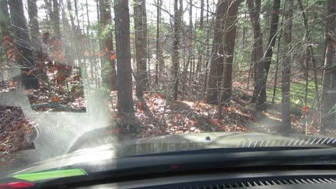 My 3i Atlas dream has brought me to some conclusions about Psychosis in governments around the world