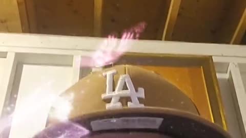 #CultMapping #wabkinew #searchthelandfill #greenpeacelawsuit #heartlessheathermustgo