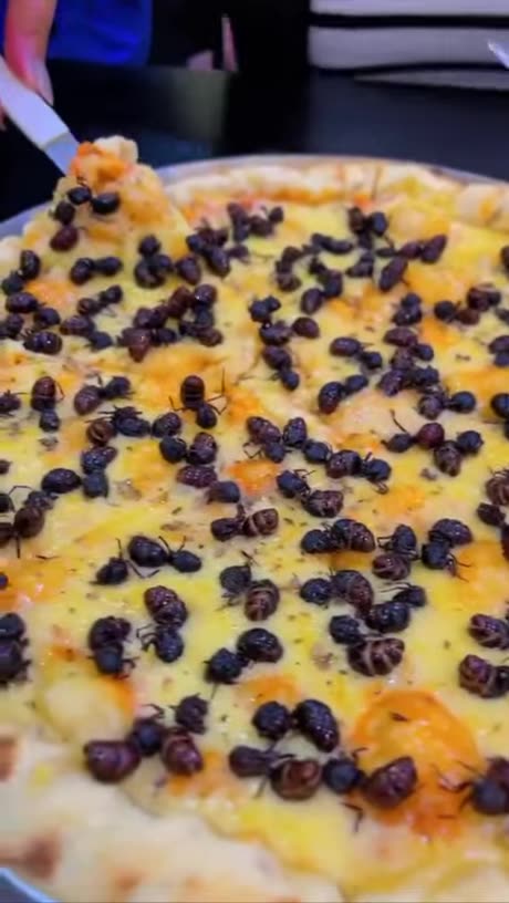 Pizza With Ants You will Love It