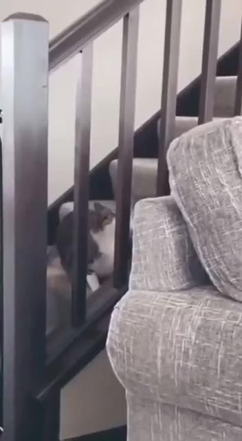 When you try reliving your childhood 🤣