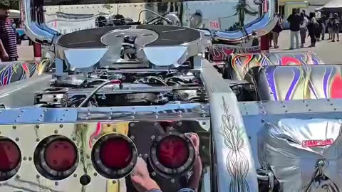 Custom-made 1984 Peterbilt 359 Truck - THOR24