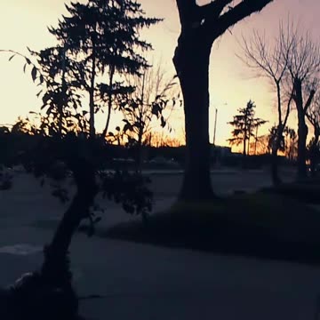 Linda mañana de setiembre con los perritos - Tacuarembó 06/09/2025