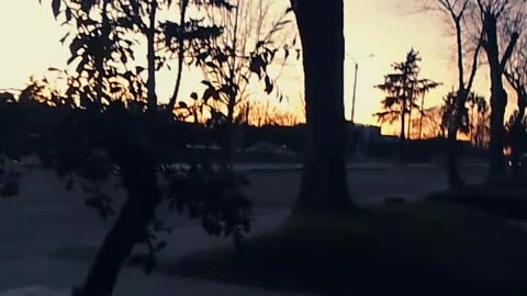 Linda mañana de setiembre con los perritos - Tacuarembó 06/09/2025