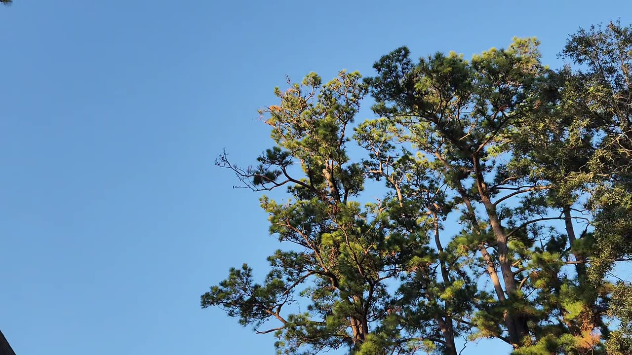 Litter bugs in the skies?!