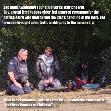 The Rude Awakening Tour at Universal Ostrich Farm