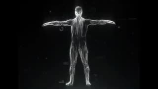 Digital Mark of The Beast