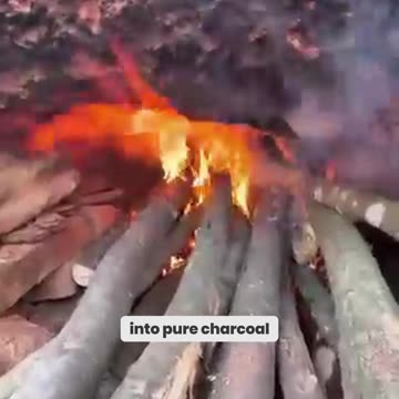 Charcoal Like You've Never Seen Before – The Secret Behind Its Ancient Craft