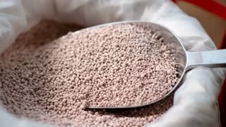 6 Banned WWII Soil Hacks that the Corporations do NOT Want You to Know