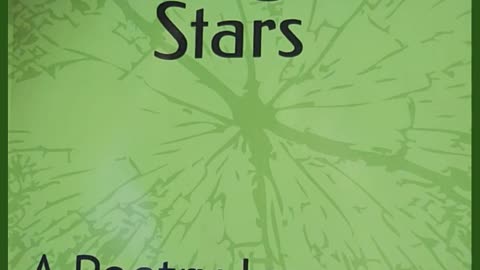 Half Moon Among the Stars, A Poetry Journey