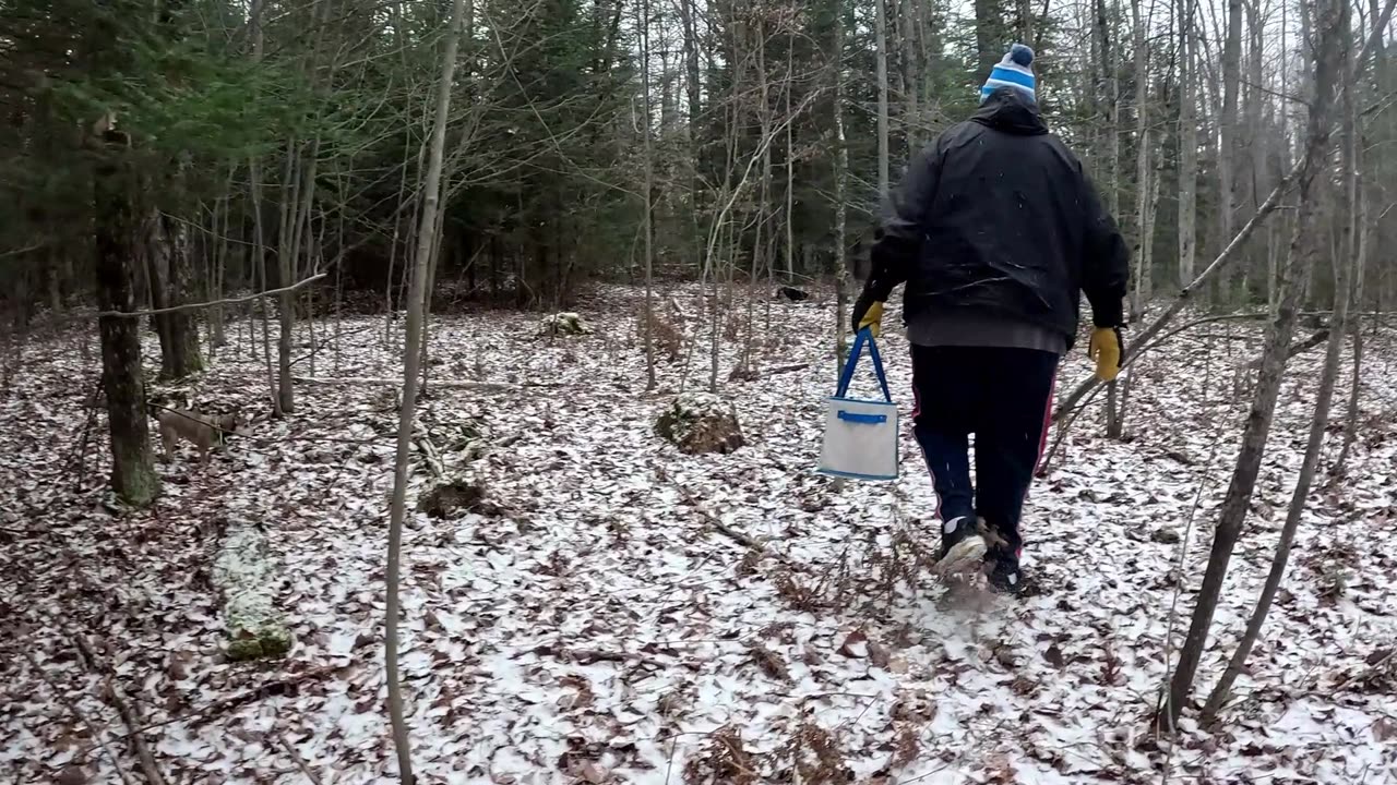 We Hike In The Woods Of Northern Michigan With @busterdoesstuff8801