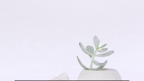 Daily Horoscope | Virgo 🌟