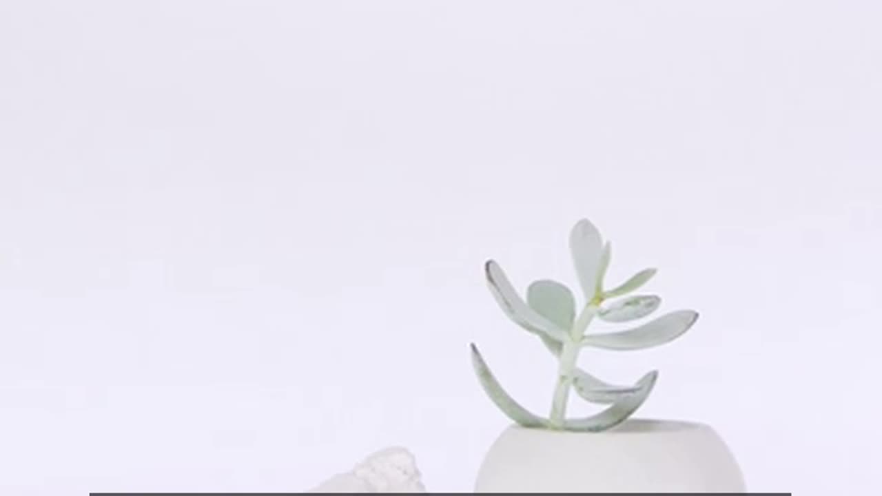 Daily Horoscope | Virgo 🌟