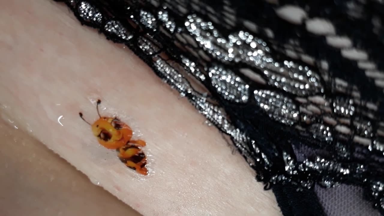 cute little bee temporary tattoo sticker magic art design