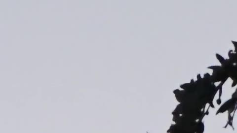 🛸👽 Is This UFO Footage from a Drone Sub? | TheTruthAbove