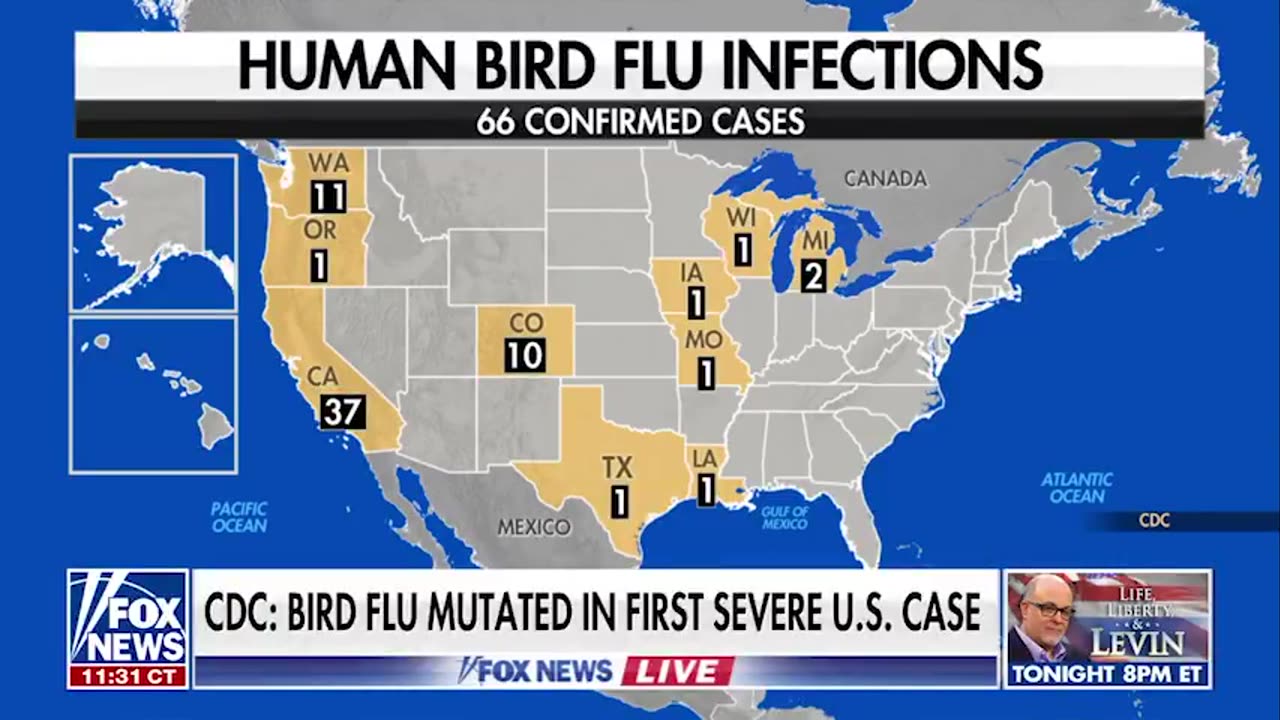 CDC Confirms First Severe U.S. Bird Flu Case as Virus Mutates and Spreads