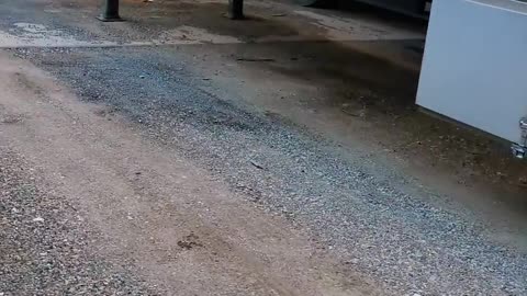 back at it #ourtruckinglife #truckesvlogs #reallifetruckers #longhaultrucker #funny #buslife