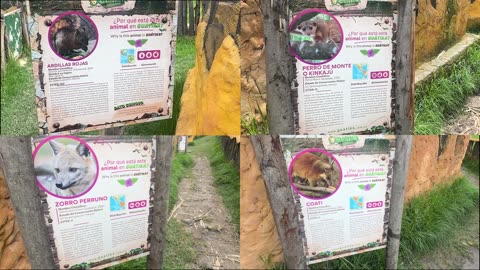 Bioparque Temático Guátika en Boyacá Zoológico Colombia 2024
