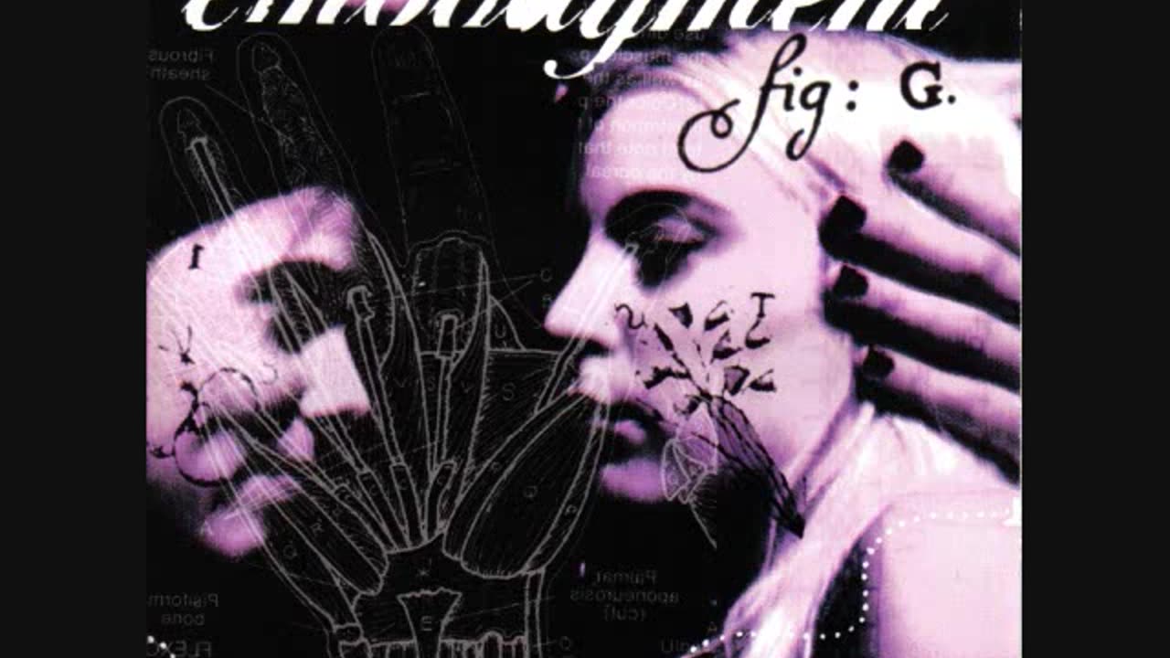 Embodyment - Strength