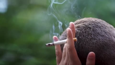 TÁC HẠI CỦA HÚT THUỐC: NHỮNG RỦI RO SỨC KHỎE KHÔNG THỂ BỎ QUA
