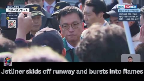Jetliner skids off runway and bursts into flames while landing in South Korea, killing 179