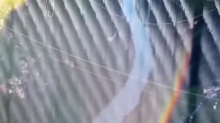 China Opens World’s Tallest Bridge — A 4-Year Wonder With a Restaurant at 800 Meters