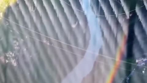 China Opens World’s Tallest Bridge — A 4-Year Wonder With a Restaurant at 800 Meters