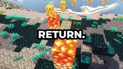 Love Without Expectations #trending #shorts #plzviralvideo #ytshorts #usa #russia #world #en