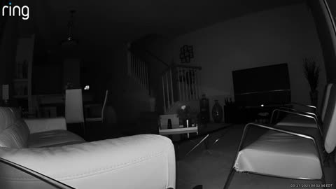 😱🐶 My Dog is Sensing Something | TheHauntingHour