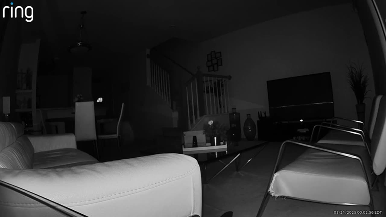 😱🐶 My Dog is Sensing Something | TheHauntingHour